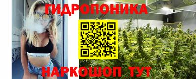 крисы Лесосибирск