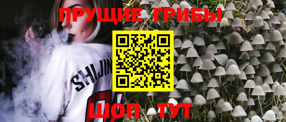 Галлюциногенные грибы Cubensis Дзержинский